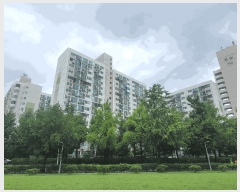  2025Ÿ��2491 ���� ����� �ϰ赿 274 û�־���Ʈ 705�� ��14�� ��1407ȣ   ����Ʈ���