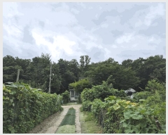  2025Ÿ��2668  �Ӿ߰��