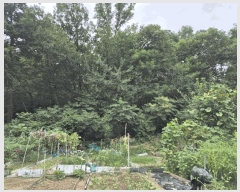  2025Ÿ��2668  �Ӿ߰��