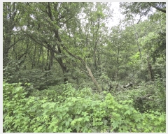  2025Ÿ��2668  �Ӿ߰��