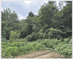  2025Ÿ��2668  �Ӿ߰��