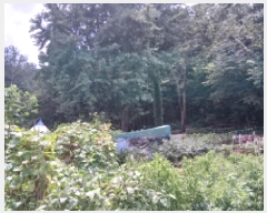  2025Ÿ��2668  �Ӿ߰��