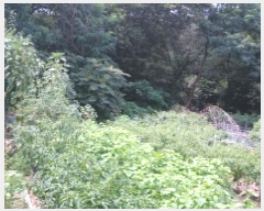  2025Ÿ��2668  �Ӿ߰��