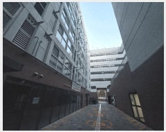  2025Ÿ��3975  ����Ʈ���