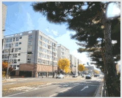  2025Ÿ��4060 ���� ������ �ֹ��� 507-1 ���尡�ֹ� ��3�� ��329ȣ    �ټ���,������