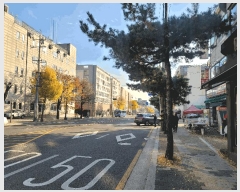  2025Ÿ��4961  ����Ʈ���