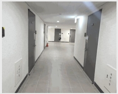  2025Ÿ��4961  ����Ʈ���