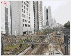  2025Ÿ12282  빮  601-2 ̾ 4403ȣ     ǽڰ