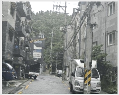  2025Ÿ��12768  �ټ���(����)���