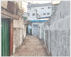  2025Ÿ��13141  ���ð��