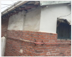  2025Ÿ��13141  ���ð��