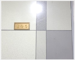  2025Ÿ��13267  �ټ���(����)���