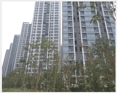  2025Ÿ��13311  �������