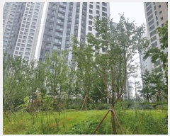  2025Ÿ��13311  �������