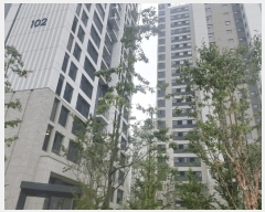  2025Ÿ��13311  �������