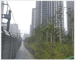  2025Ÿ��13311  �������