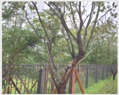  2025Ÿ��13311  �������