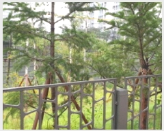  2025Ÿ��13311  �������