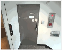  2025Ÿ��13319  �ټ���(����)���