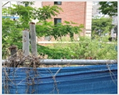  2025Ÿ��12332  �������