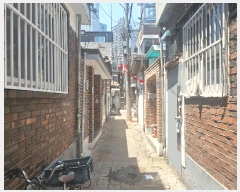  2025Ÿ��12529 ���� ���빮�� ��ʸ��� 4-114       ���ð��