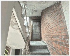  2025Ÿ��12793  �ٰ������ð��