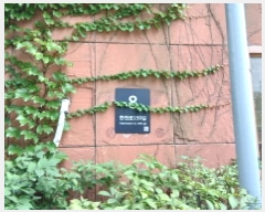  2025Ÿ��12835  ����Ʈ���