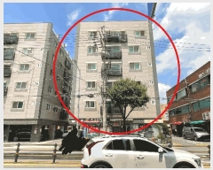  2025Ÿ��12898  �ټ���(����)���