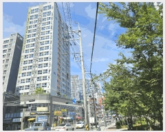  2025Ÿ��13088 ���� ���빮�� �ְ浿 377 �̹��ְ�������������Ʈ �ٸ���Ȱ�ü����� 1�� ��102ȣ   ��,�繫�ǰ��