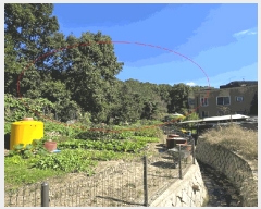  2025Ÿ��1733 ���� ������ ������ ��6-7       ����(�Ӿ�)���