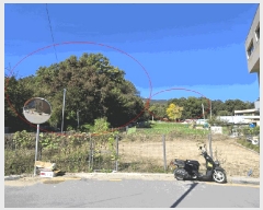  2025Ÿ��1733 ���� ������ ������ ��6-7       ����(�Ӿ�)���