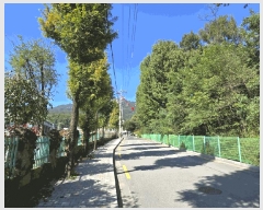  2025Ÿ��1733 ���� ������ ������ ��6-7       ����(�Ӿ�)���