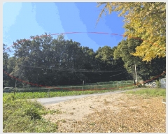  2025Ÿ��1733 ���� ������ ������ ��6-7       ����(�Ӿ�)���