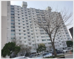  2025Ÿ12117  ϱ  205 Ʈ 9 12 1207ȣ   Ʈ