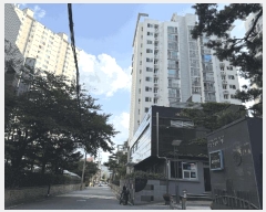  2025Ÿ12554  빮 ְ浿 365 ְ浿̺ 106 6 601ȣ   Ʈ