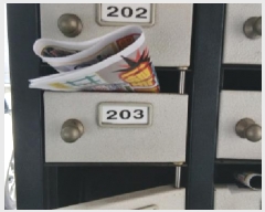  2025Ÿ��13016  ���ǽ��ڰ��