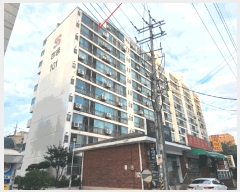  2025Ÿ��13098  ����Ʈ���