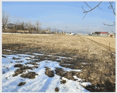  2025Ÿ��146 ��� ���ֽ� �鼮�� ���긮 182-2      ����(��1)���