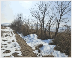  2025Ÿ��146 ��� ���ֽ� �鼮�� ���긮 182-2      ����(��1)���