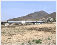  2025Ÿ1477  õ  ĸ 82      (1)