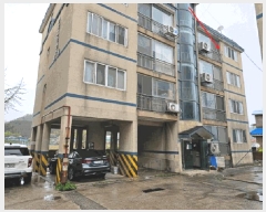  2025Ÿ1613  õ е 243 Ѿ׸Ǽ  4402ȣ    ټ,