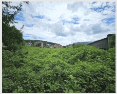  2025Ÿ��3473  �����