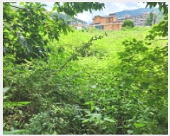  2025Ÿ��3473  �����