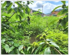  2025Ÿ��3473  �����