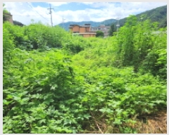  2025Ÿ��3473  �����