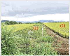  2025Ÿ��3831 ���� ö���� ������ ���츮 85-2      ����(��)���