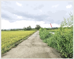  2025Ÿ��3831 ���� ö���� ������ ���츮 85-2      ����(��)���