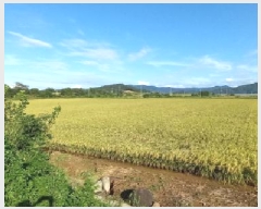  2025Ÿ��3831 ���� ö���� ������ ���츮 85-2      ����(��)���