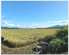  2025Ÿ��3831 ���� ö���� ������ ���츮 85-2      ����(��)���