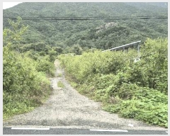  2025Ÿ��4025  �����